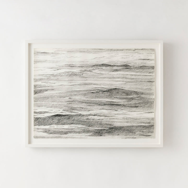 Sarah Bird, I Asked the Ocean 