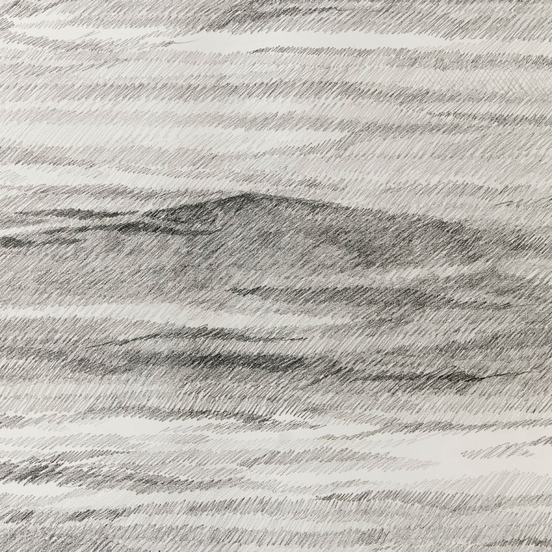 Sarah Bird, I Asked the Ocean 