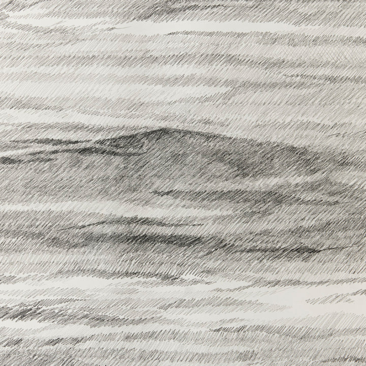 Sarah Bird, I Asked the Ocean 