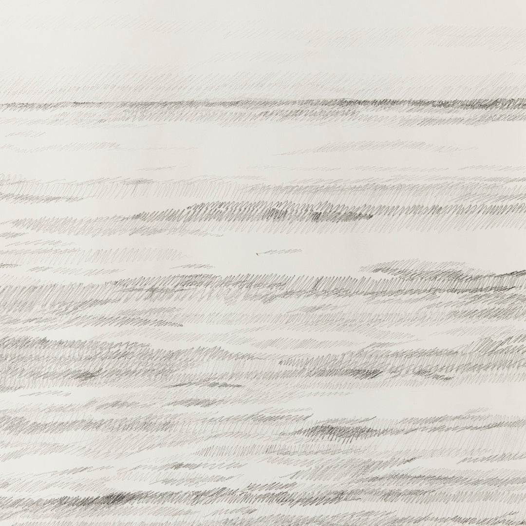 Sarah Bird, I Asked the Ocean 