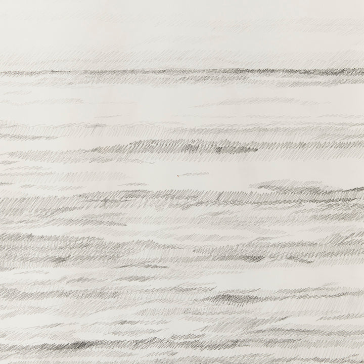 Sarah Bird, I Asked the Ocean 