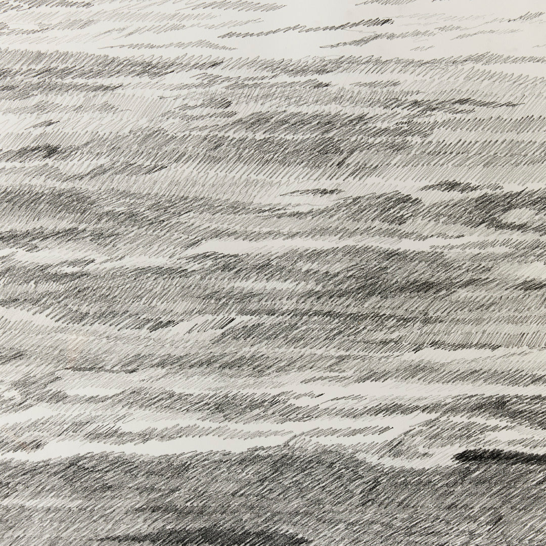 Sarah Bird, I Asked the Ocean 