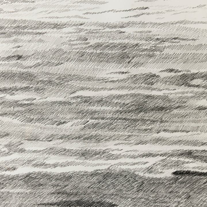 Sarah Bird, I Asked the Ocean 