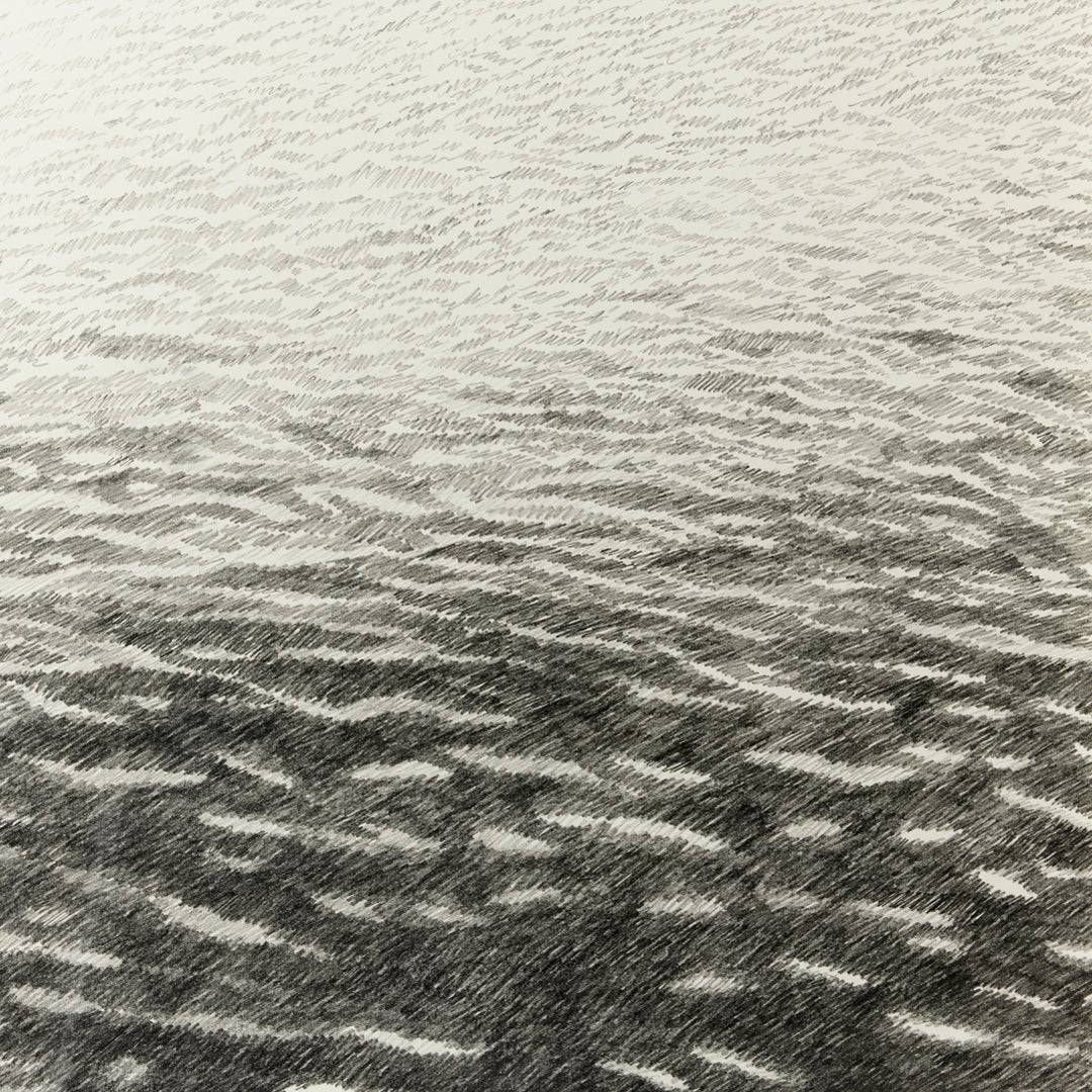 Sarah Bird, Darkness