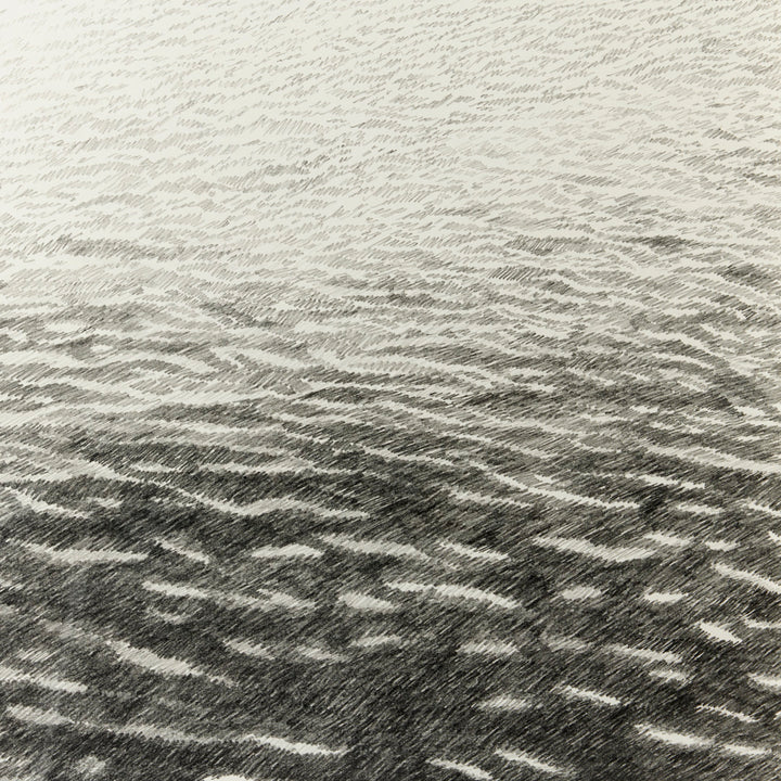 Sarah Bird, Darkness