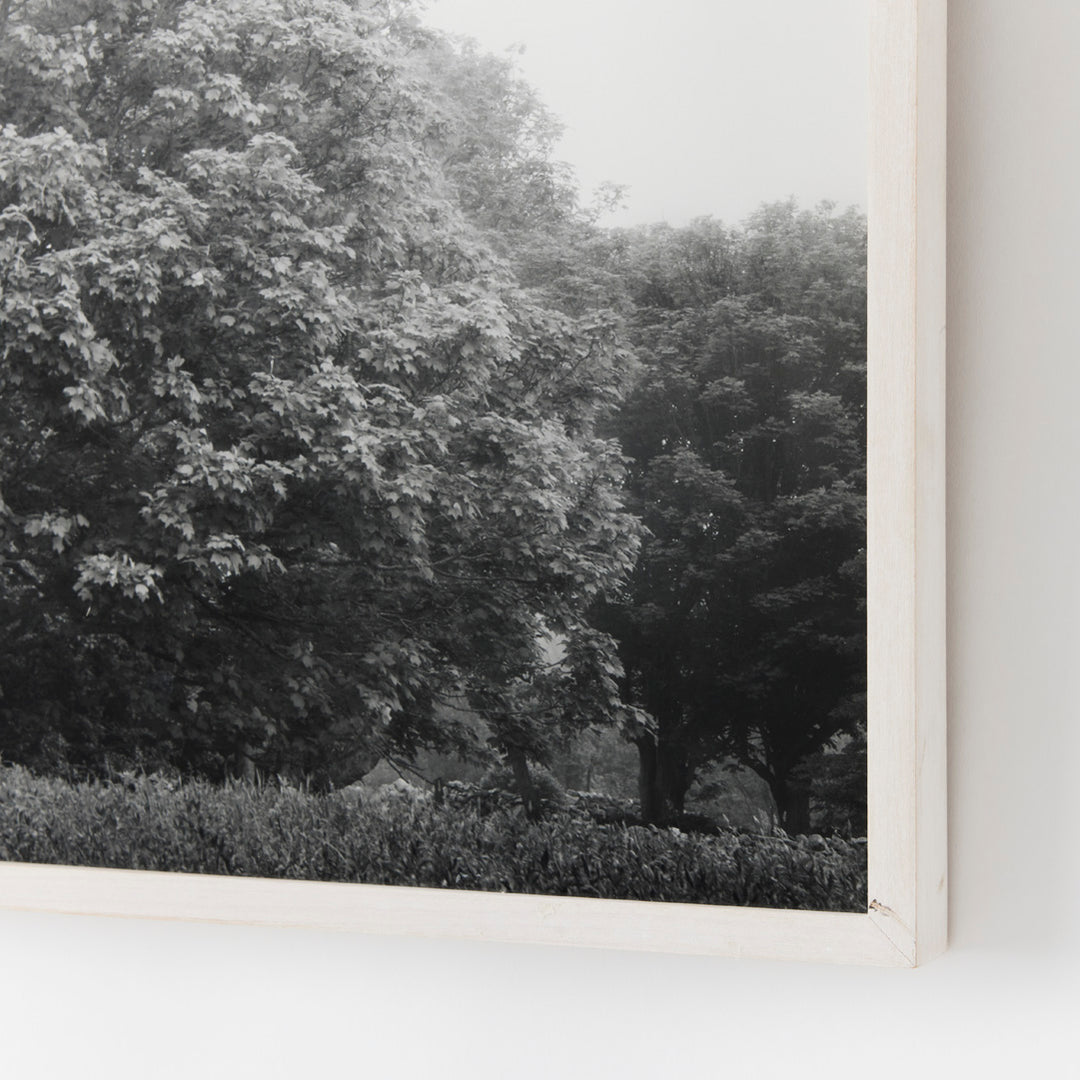 Sarah Bird, Bluestone Maple