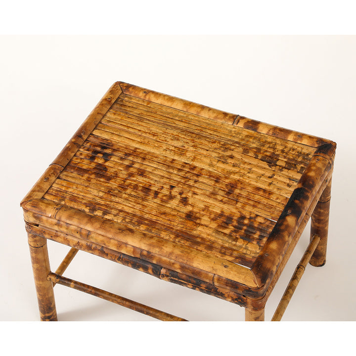 Vintage Tortoise Bamboo Plant Stand