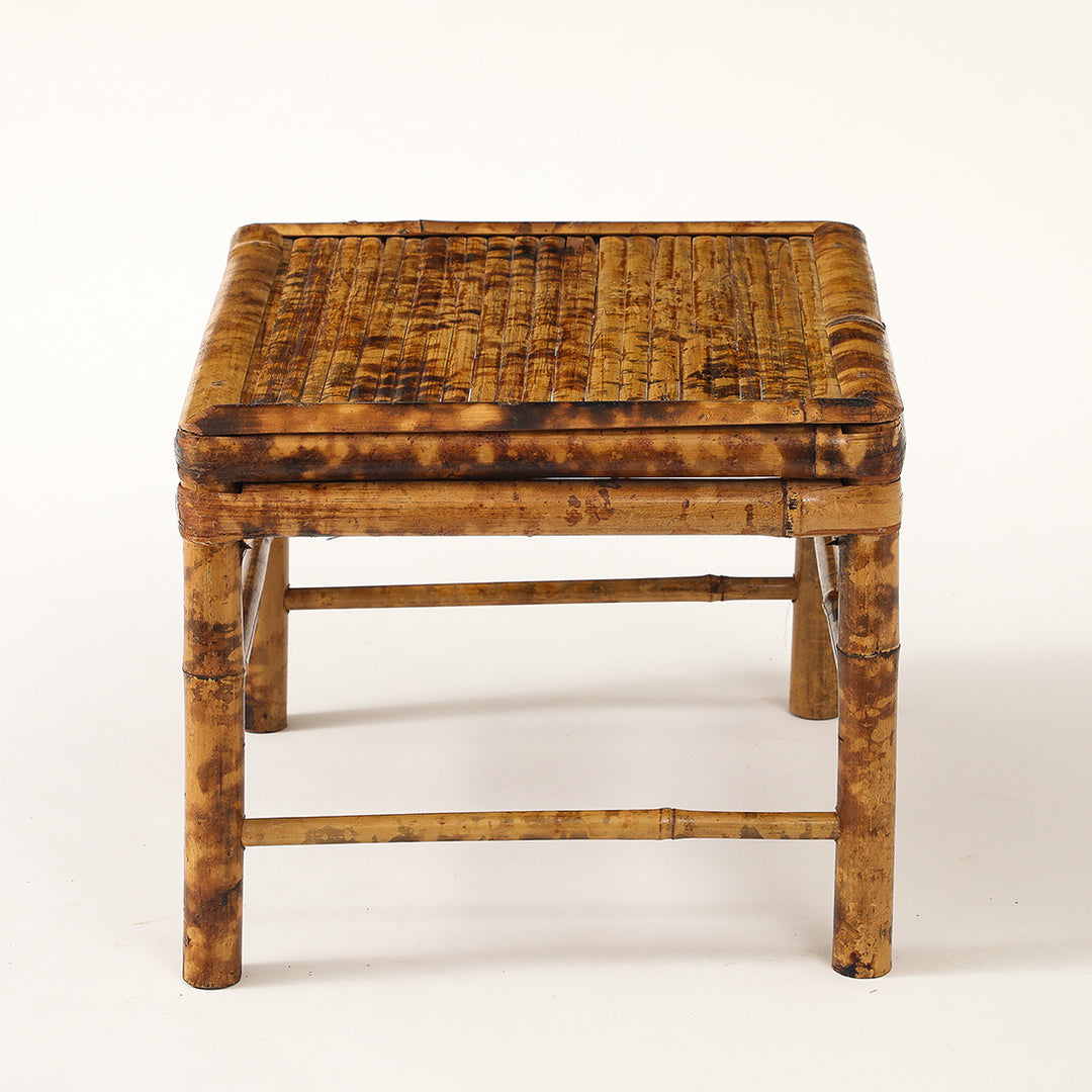 Vintage Tortoise Bamboo Plant Stand