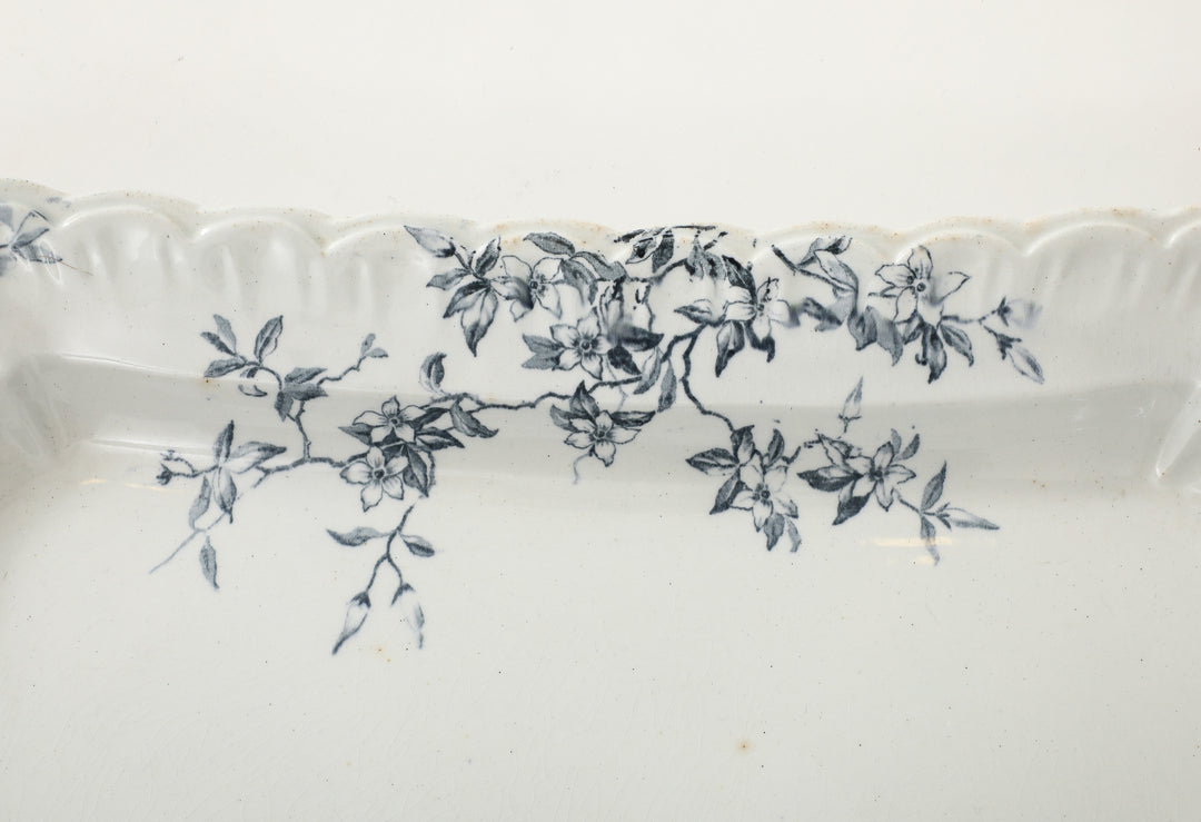 Set of Antique Ironstone China, Albany Pattern