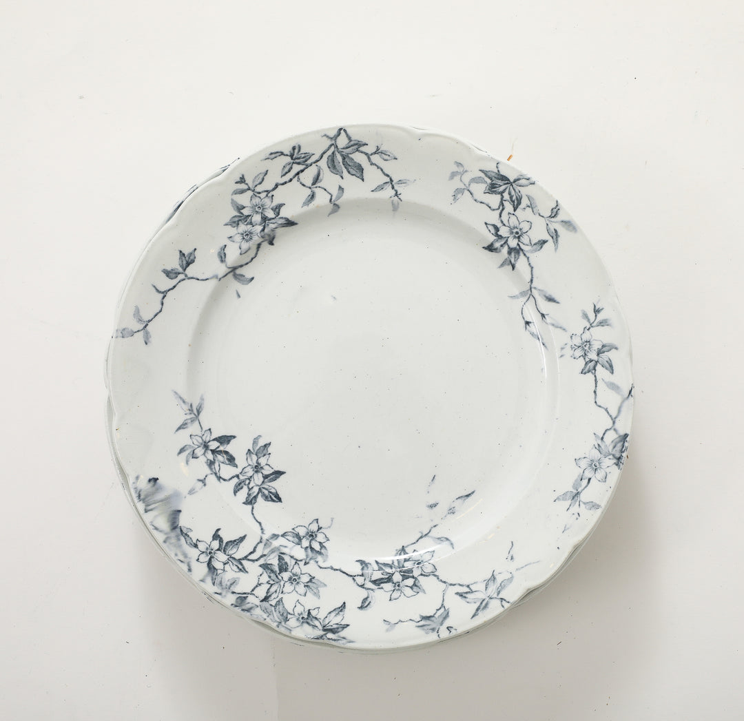 Set of Antique Ironstone China, Albany Pattern