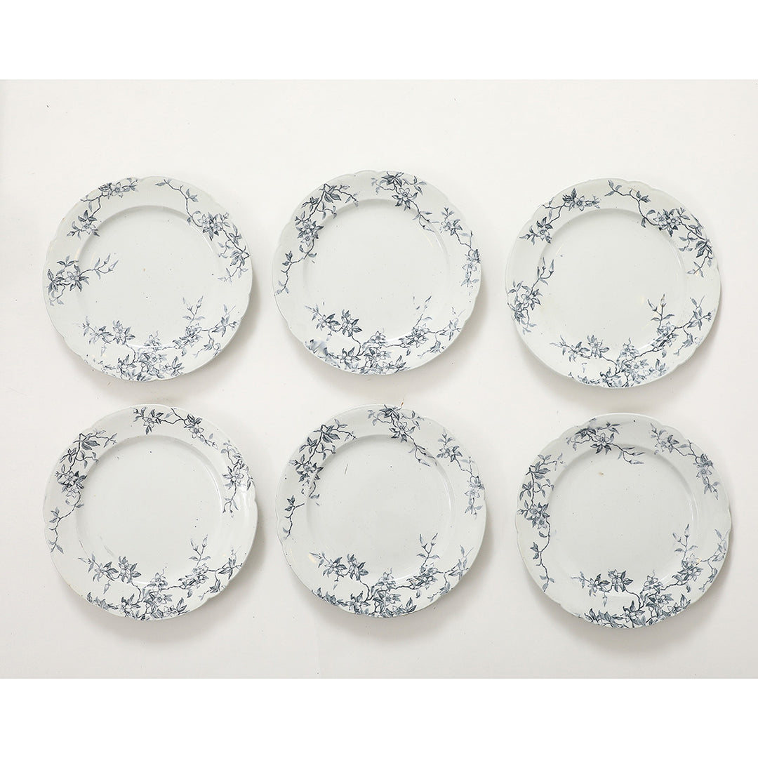 Set of Antique Ironstone China, Albany Pattern