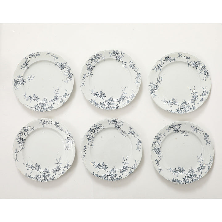 Set of Antique Ironstone China, Albany Pattern