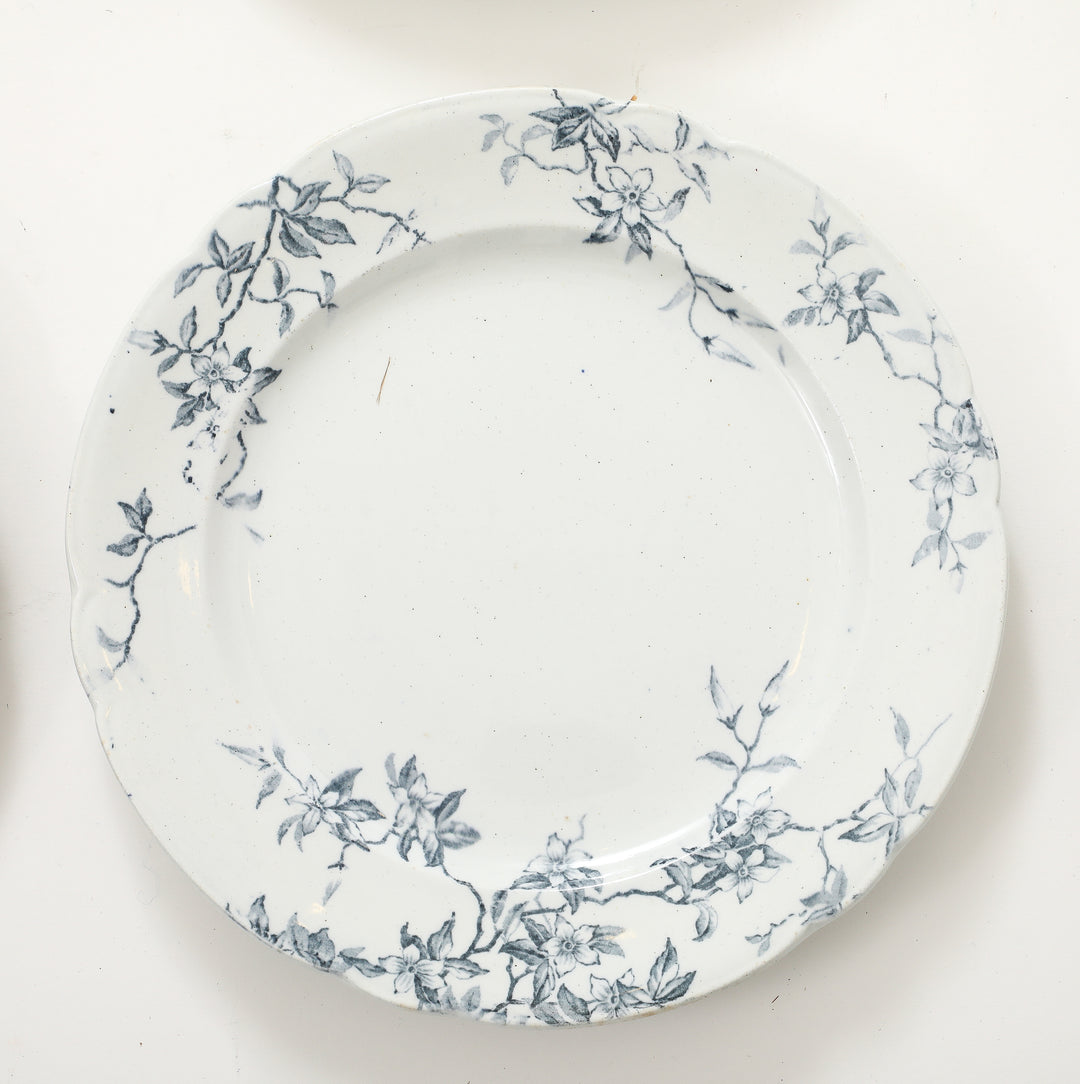 Set of Antique Ironstone China, Albany Pattern