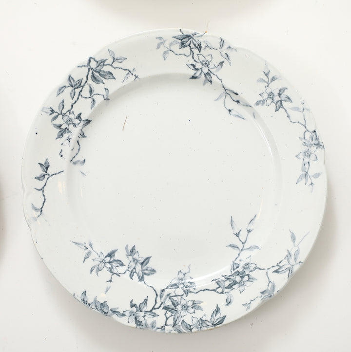 Set of Antique Ironstone China, Albany Pattern