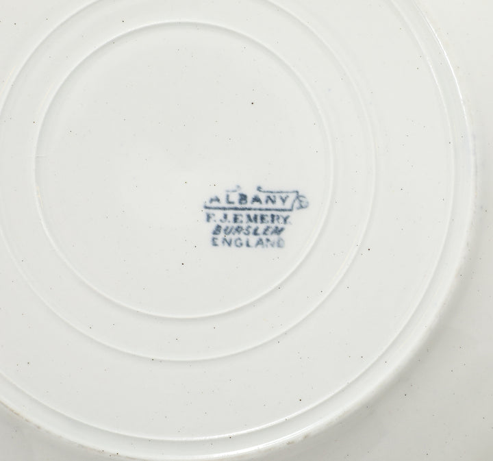 Set of Antique Ironstone China, Albany Pattern
