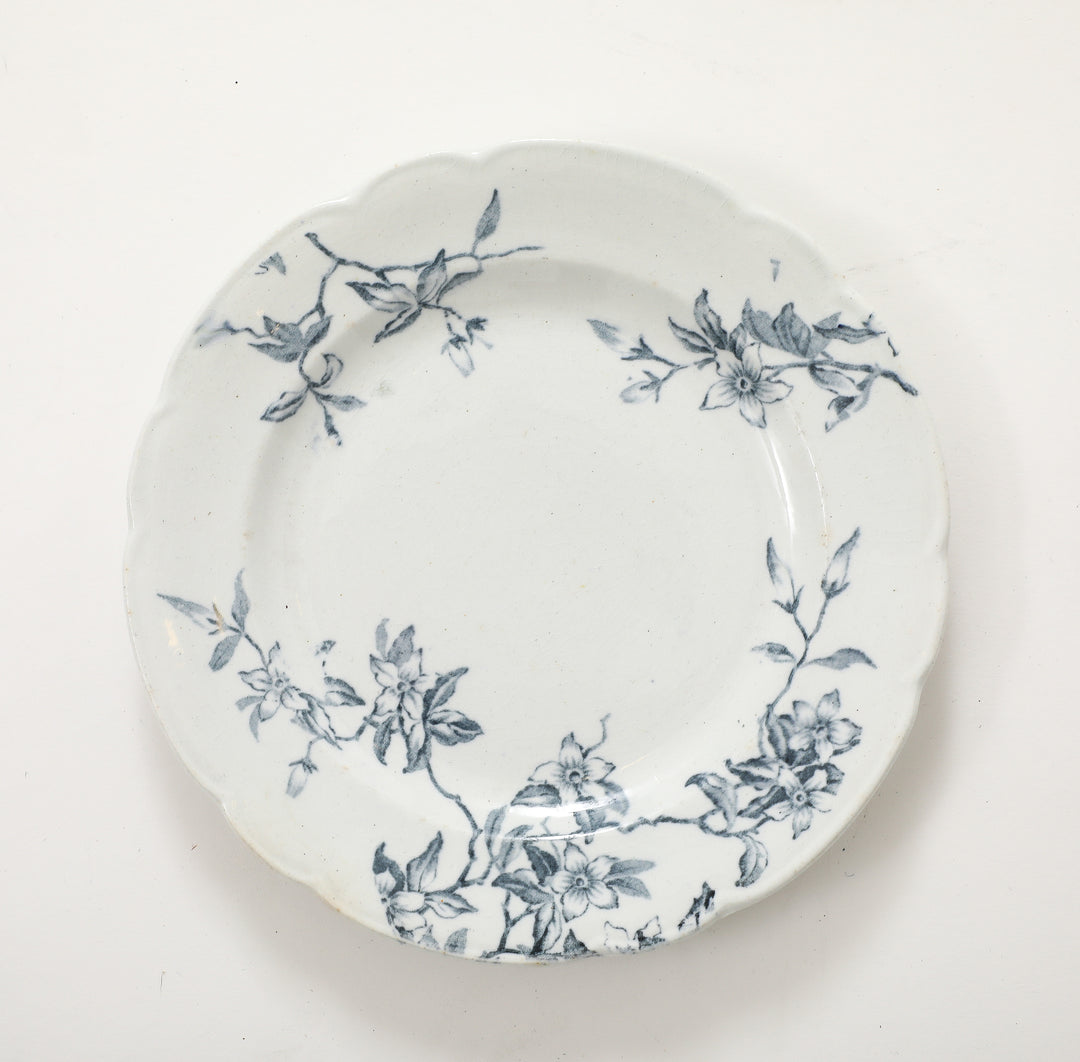 Set of Antique Ironstone China, Albany Pattern