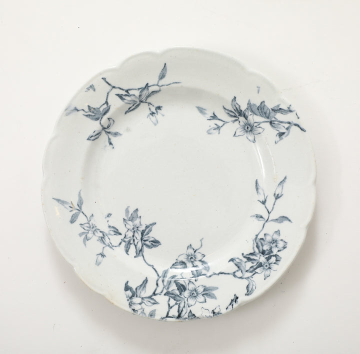 Set of Antique Ironstone China, Albany Pattern