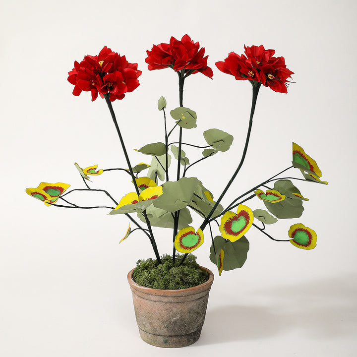 Potted Paper Geranium in Red