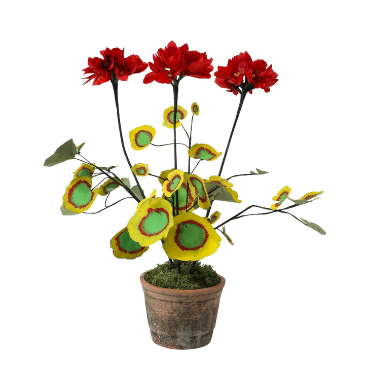 Potted Paper Geranium in Red