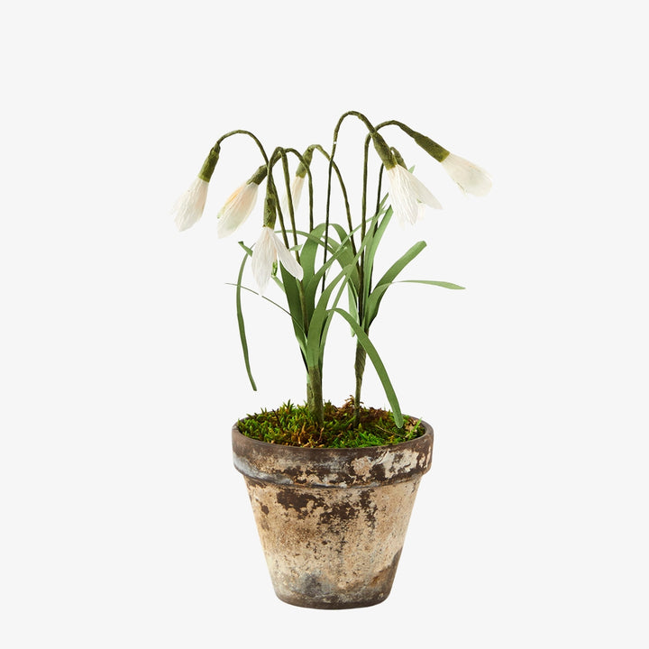 Potted Paper Snowdrops