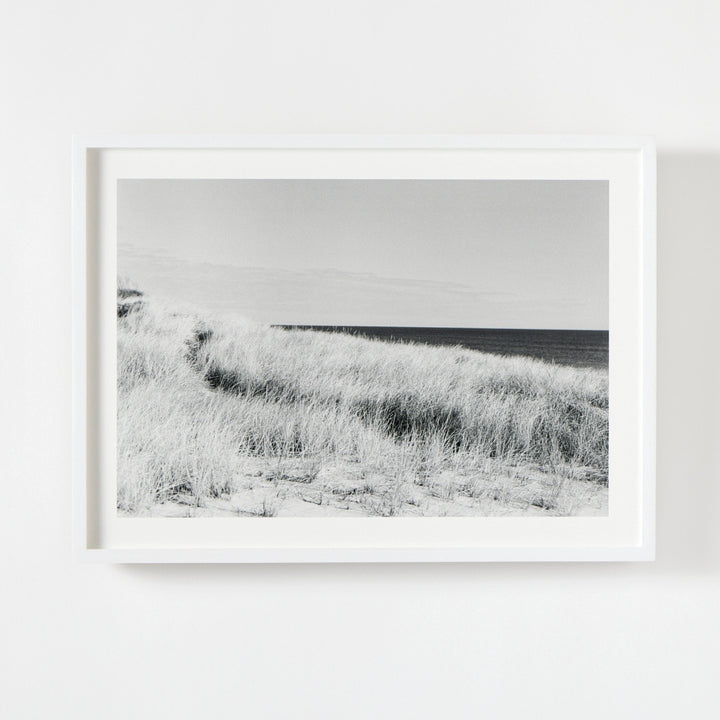 Dune Grasses, Looking East