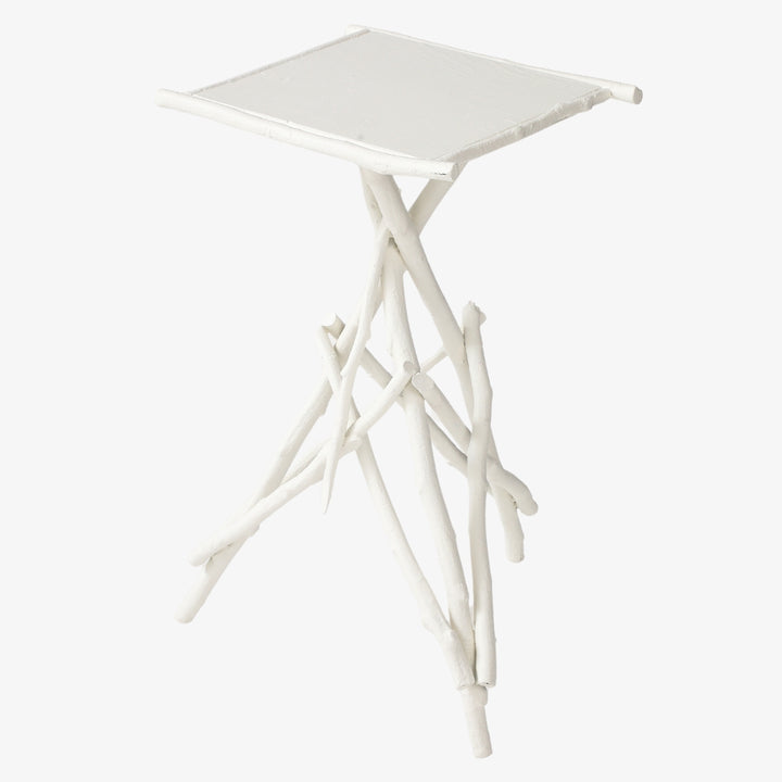 Antique Adirondack Twig Table