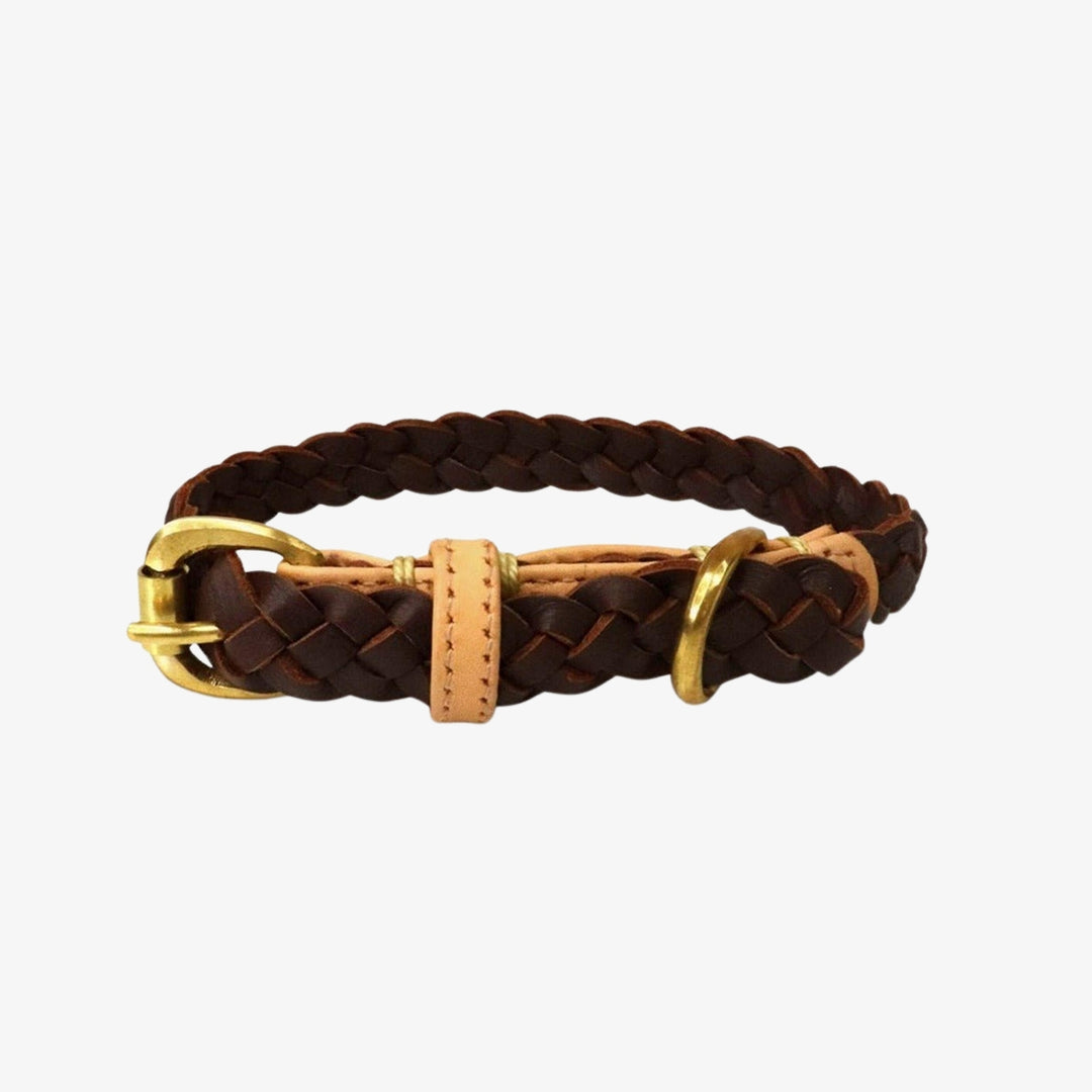 Windsor Pet Collar in Chicory
