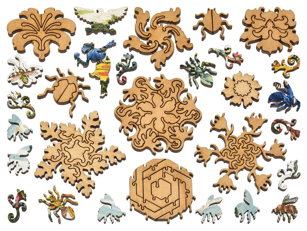 Wooden Beehive Puzzle