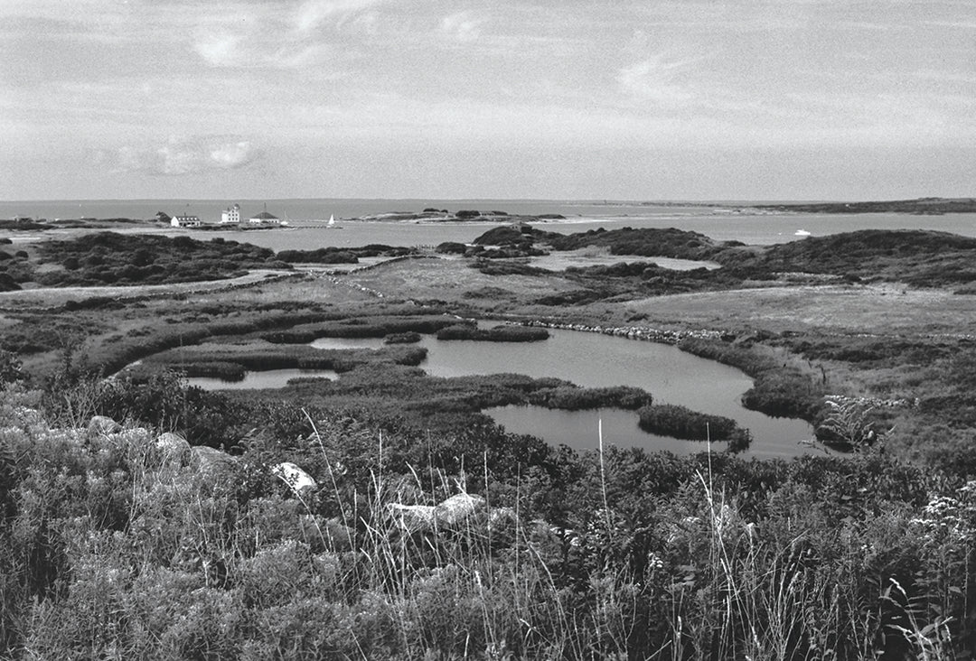 Klaus Gemming, Cormorant Cove