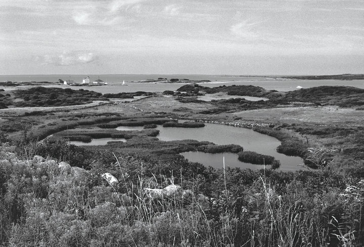 Klaus Gemming, Cormorant Cove
