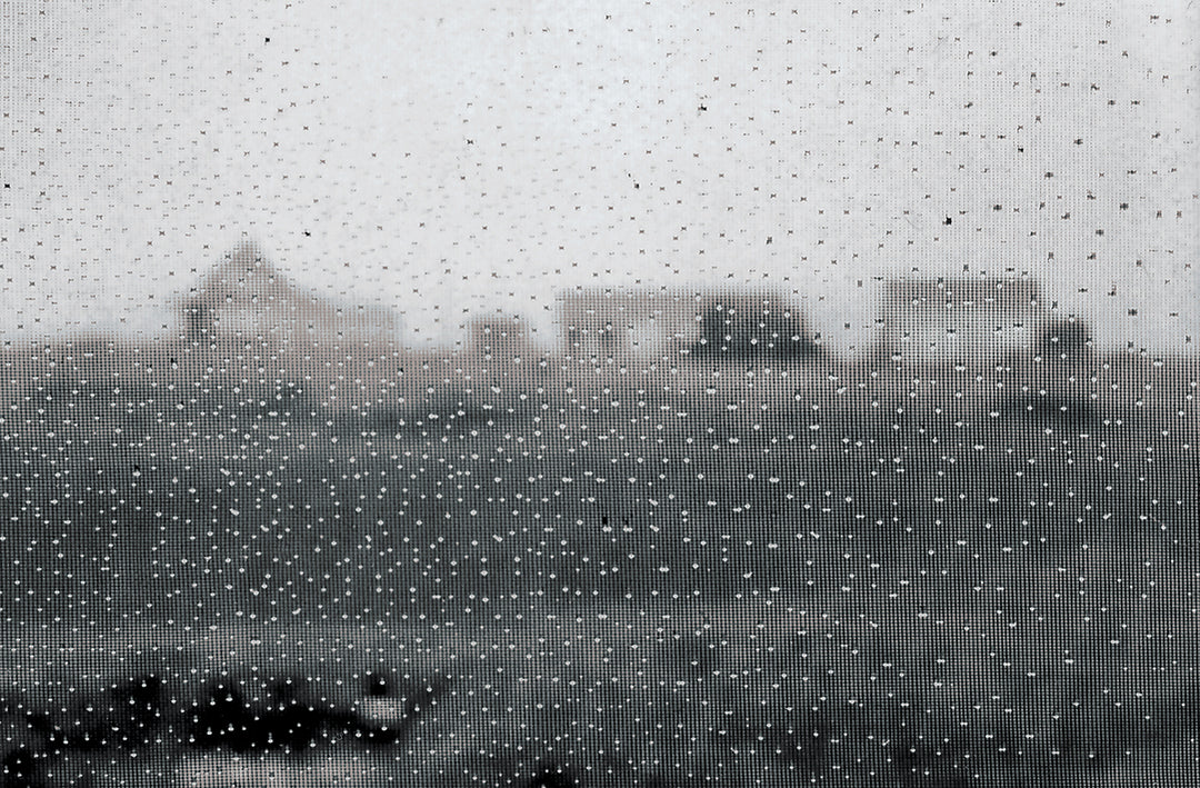 Klaus Gemming, Raindrops on a Window Screen