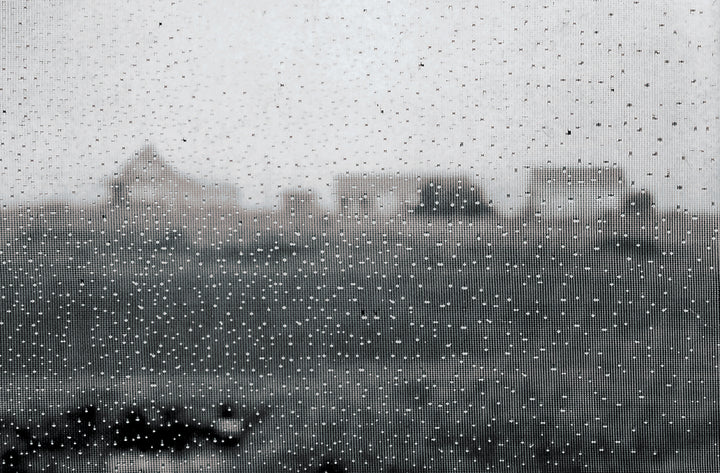 Klaus Gemming, Raindrops on a Window Screen