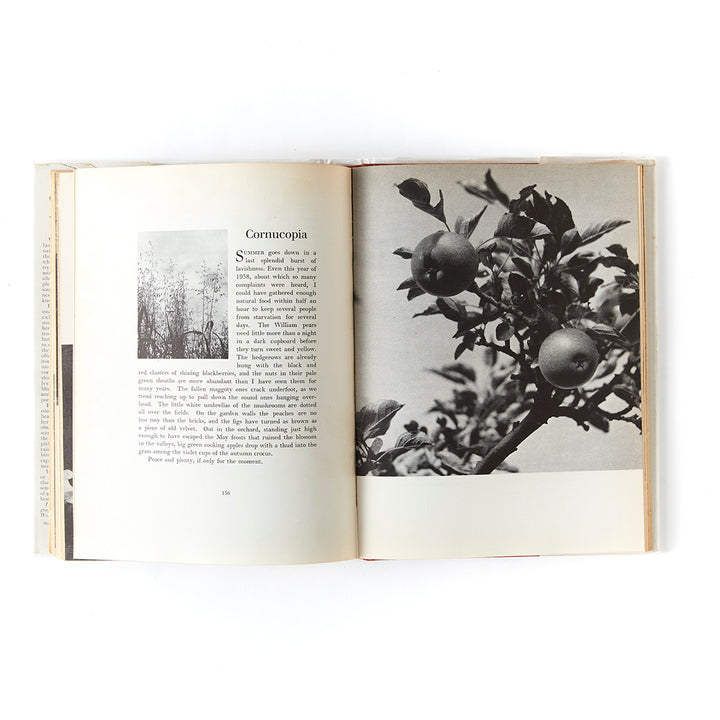 Vita Sackville-West, Country Notes, first edition
