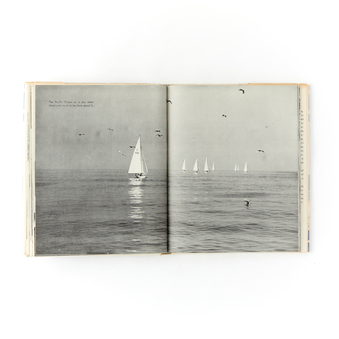 Yachts Under Sail
