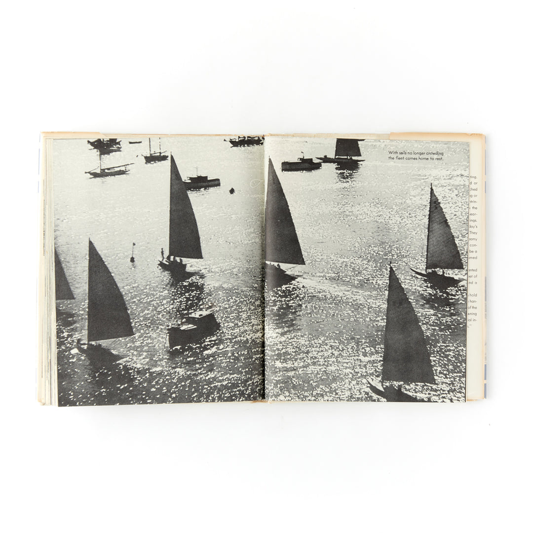 Yachts Under Sail