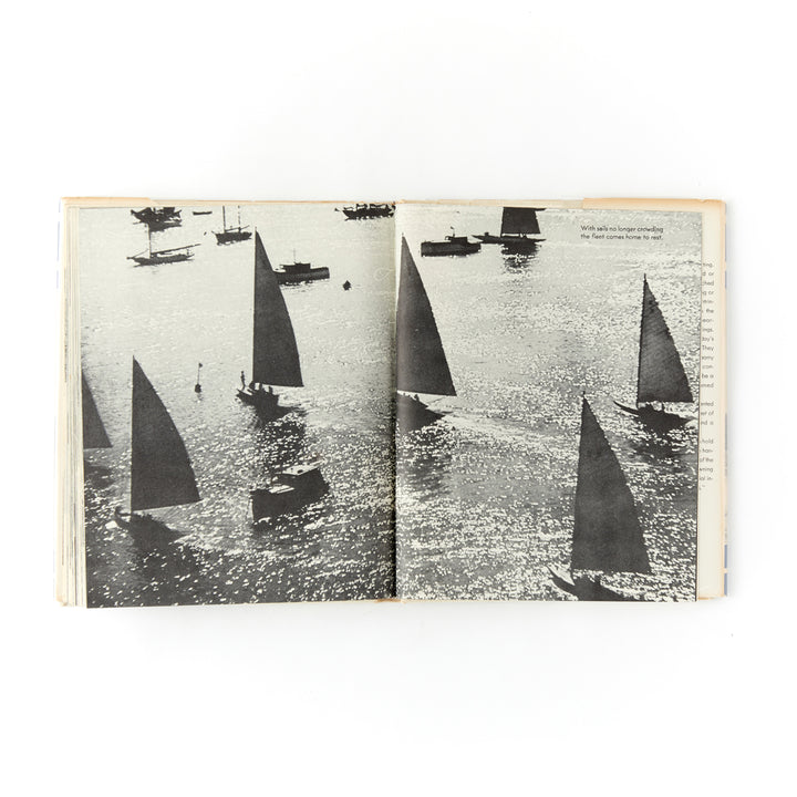Yachts Under Sail