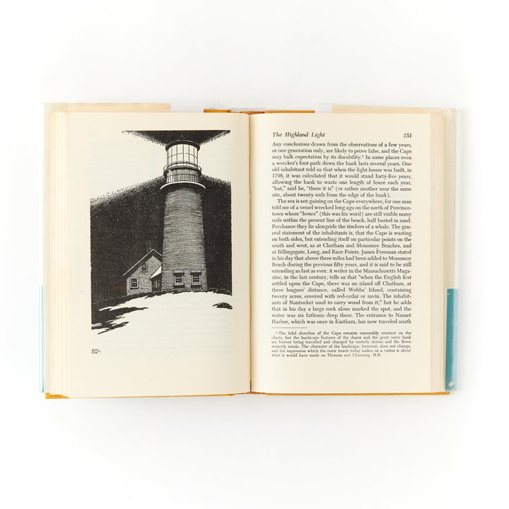 Henry David Thoreau, Cape Cod