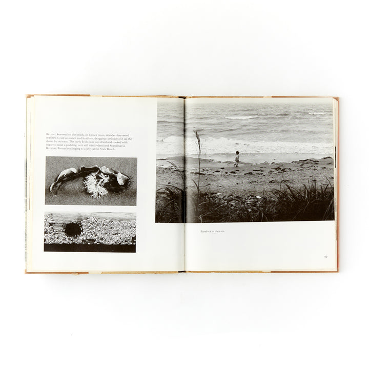 Klaus and Elizabeth Gemming, Block Island Summer, First Edition