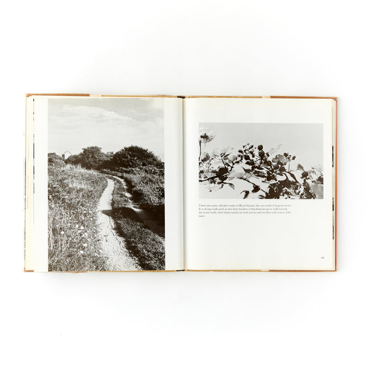 Klaus and Elizabeth Gemming, Block Island Summer, First Edition