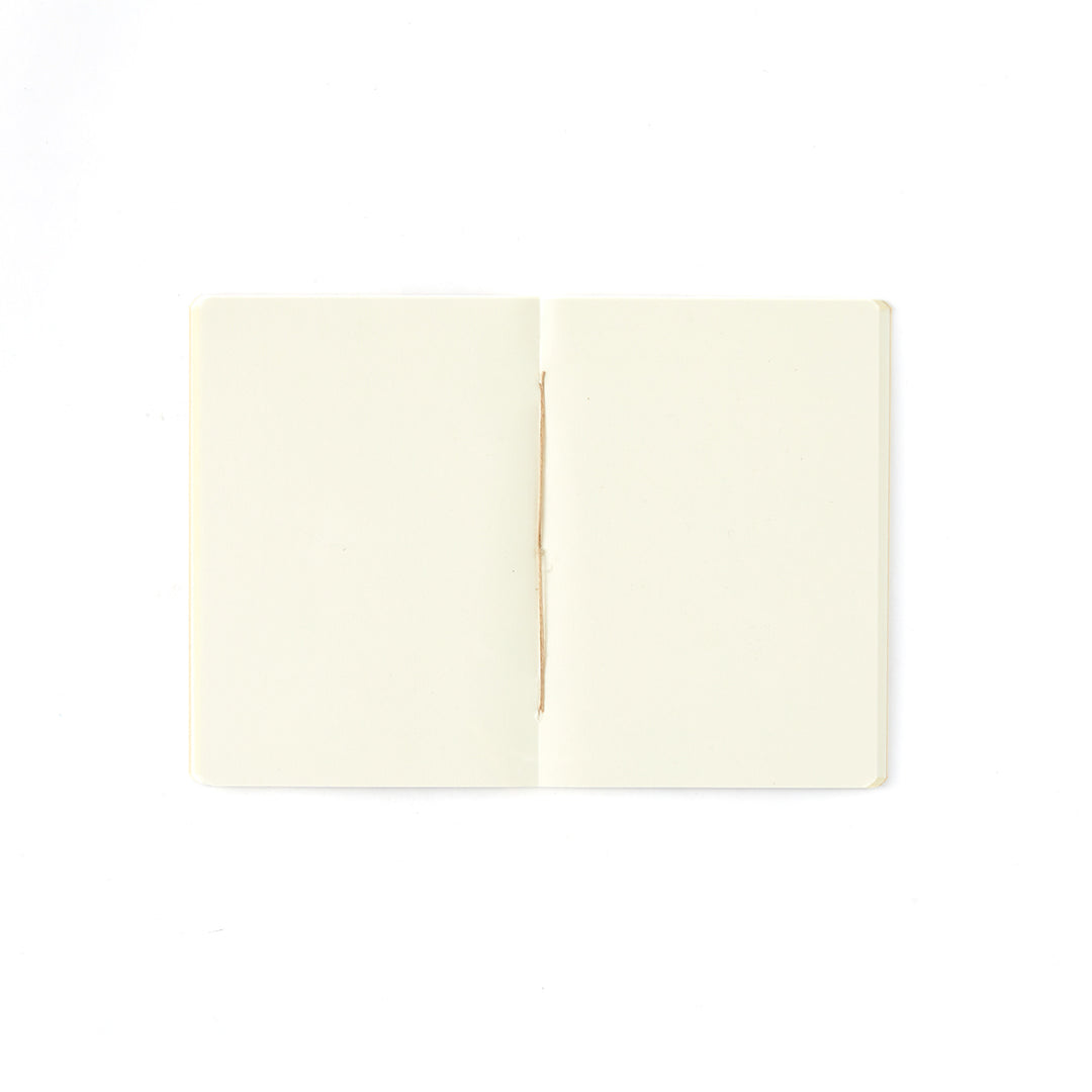 Small Marbleized Notebooks from Madrid, Group 1