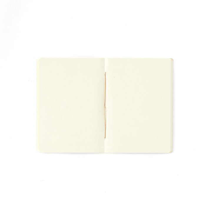 Small Marbleized Notebooks from Madrid, Group 1