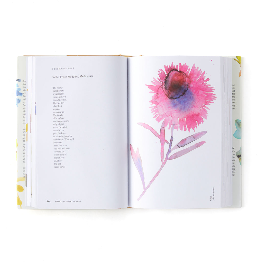 American Wildflowers: A Literary Field Guide