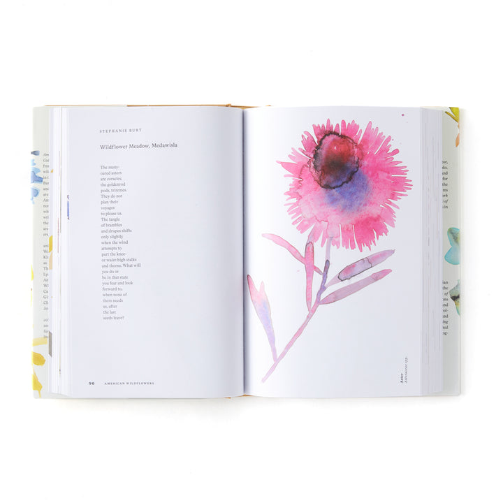 American Wildflowers: A Literary Field Guide