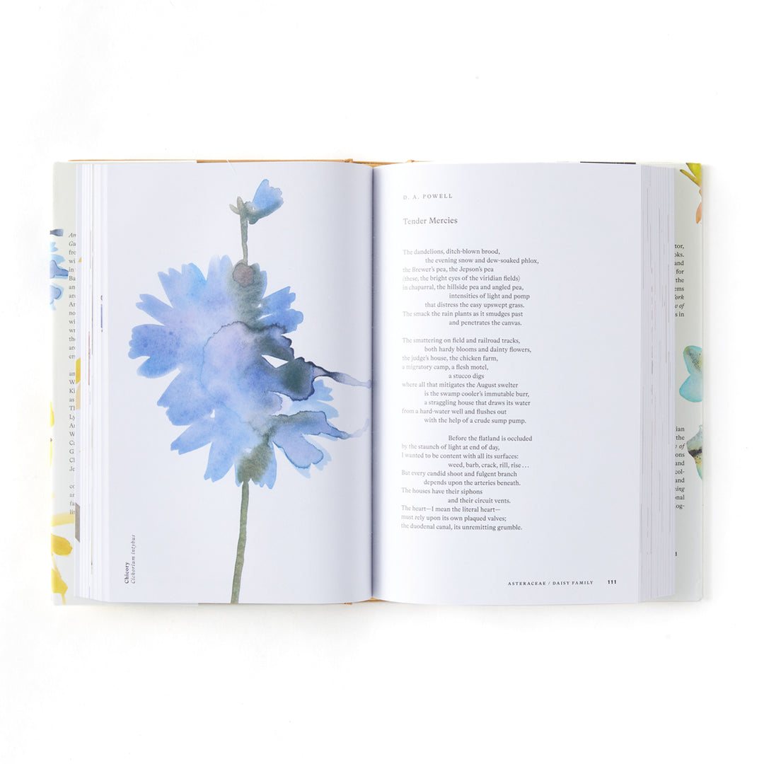 American Wildflowers: A Literary Field Guide