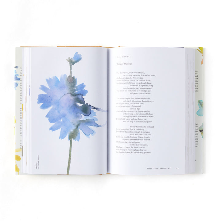 American Wildflowers: A Literary Field Guide
