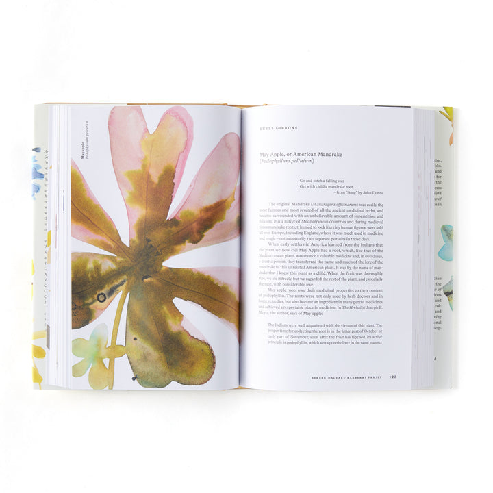 American Wildflowers: A Literary Field Guide