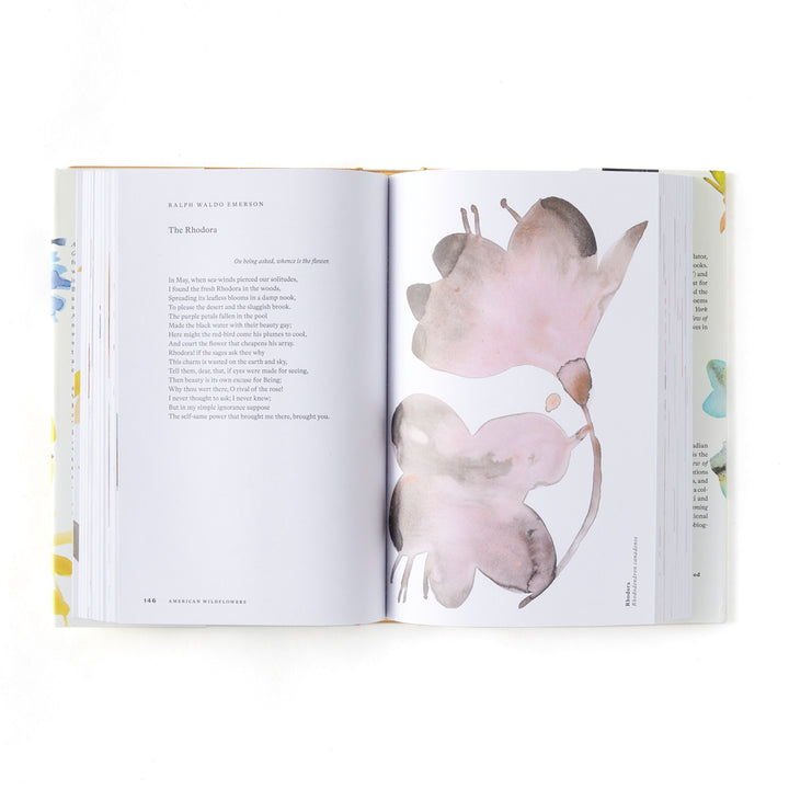 American Wildflowers: A Literary Field Guide