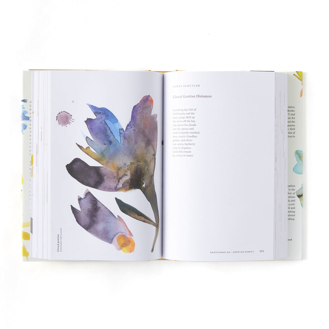 American Wildflowers: A Literary Field Guide