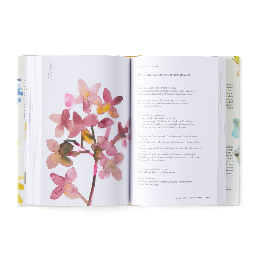 American Wildflowers: A Literary Field Guide