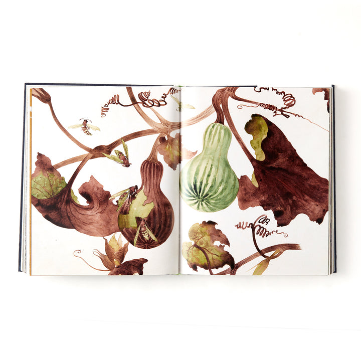 Botanical: Observing Beauty